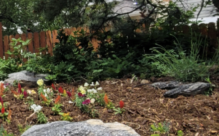 private patio gardens